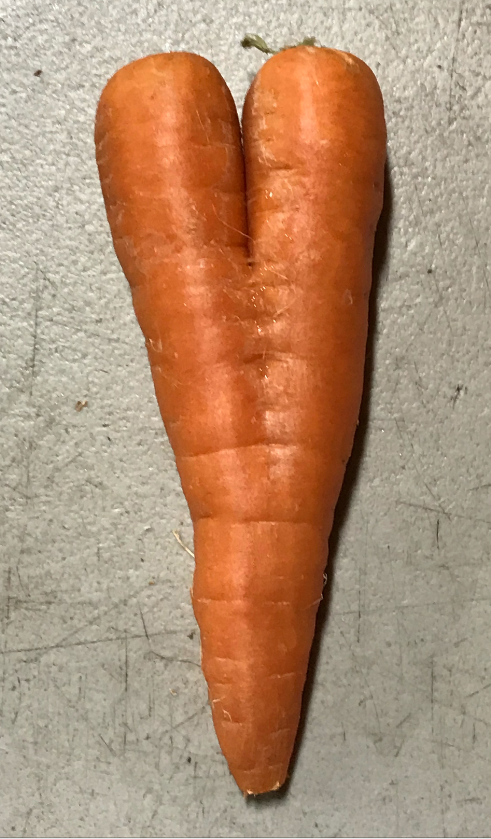 carrot love